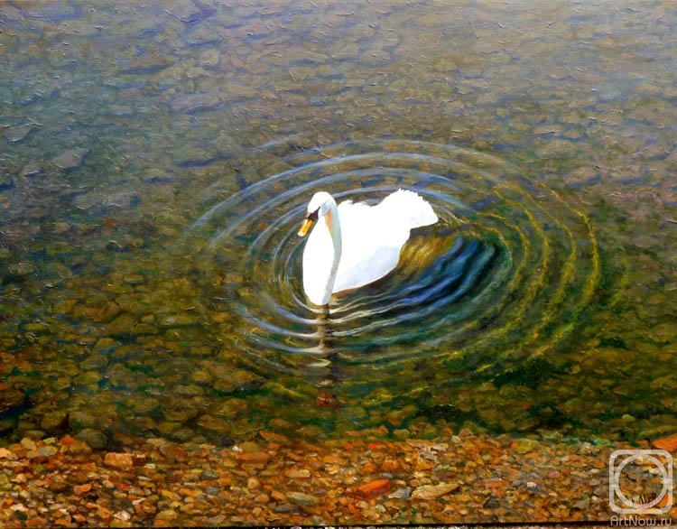 ������� ������ �� ������. ��������� ������. ������ ����� ������