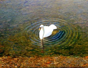 ... The white swan swims...