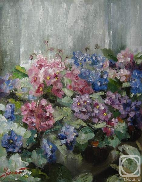 ������� ������ �� ������. ������ �������. ������