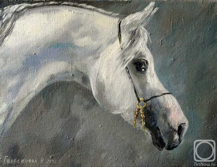 Gerasimova Natalia. Arabian Horse Head