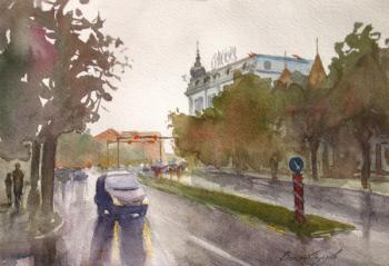 After the rain (City 8203 8203). Pohomov Vasilii