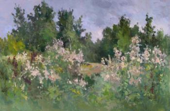 ������� ������ �������