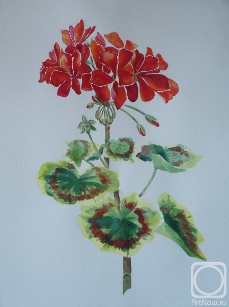 �������. �������� ������. 560 (������)