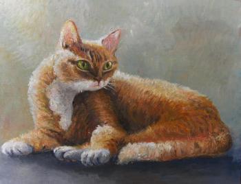 Red cat. Konturiev Vaycheslav