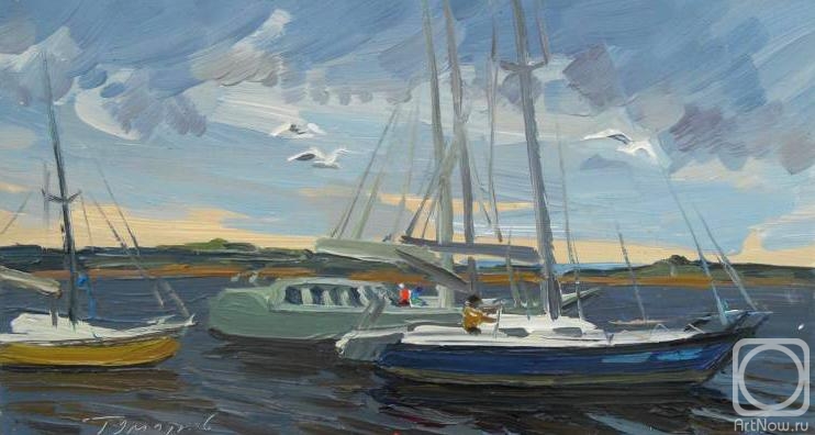 �������. �������� ���������. ��� ����. �����