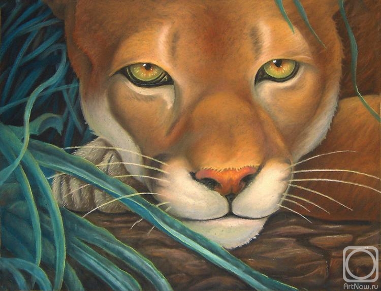 �������. ��������� ���������. ������� ���� ��������