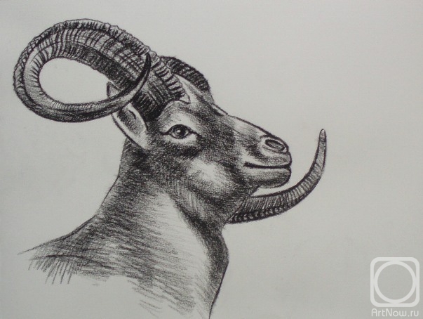 Lukaneva Larissa. 562 (head mouflon)