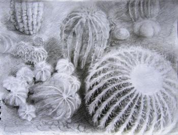 ������� ���������