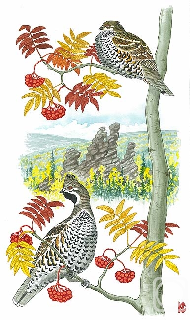 �������. ����� �������. �������