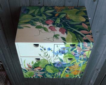 ���� ����� ��� �����. ������������ �����