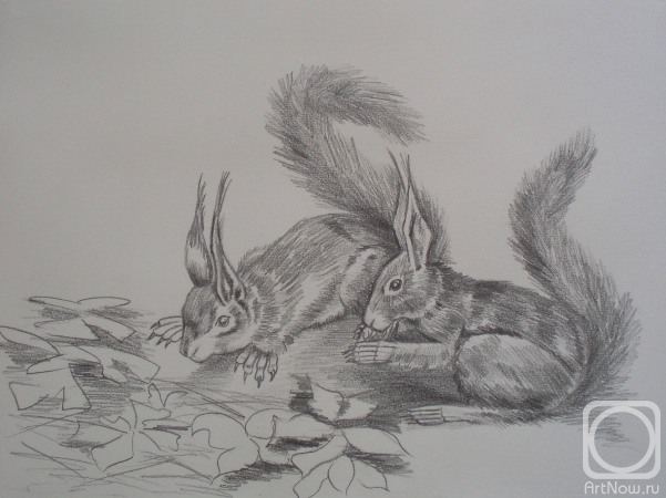 �������. �������� ������. 563 (�����)