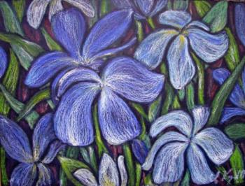 ������� ������ ������