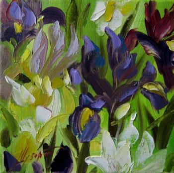 Irises. Schubert Albina