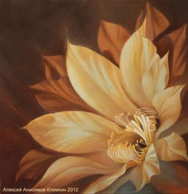 ������� �����