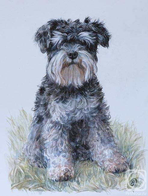 Rubacheva Natalia. Dolli