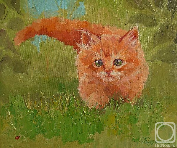 Рыжий кот картины по номерам официальный сайт