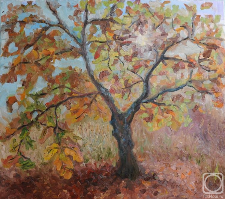 ������� ������ �� ������. ������� �������. ������