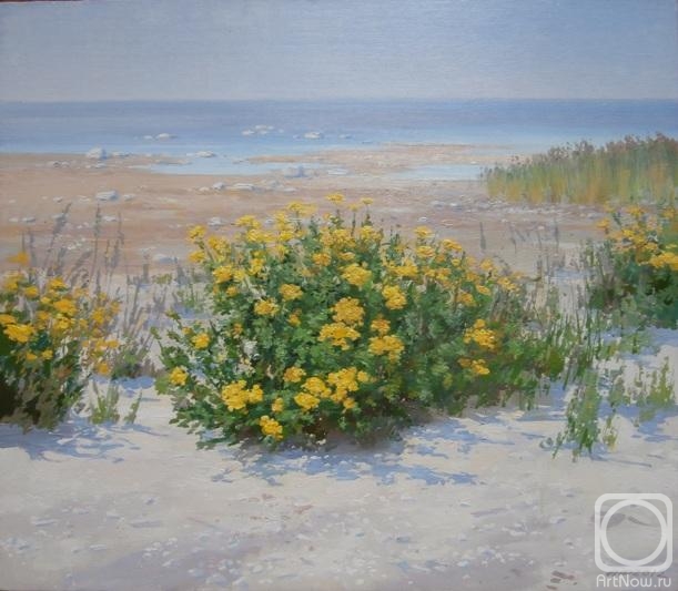 ������� ������ �� ������. ������� ����. �����