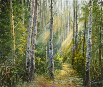 ������� ��������� � ����