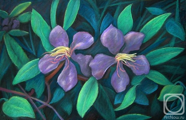 �������. ��������� ���������. ��� ������