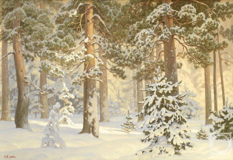 Efoshkin Sergey. Snow Forest