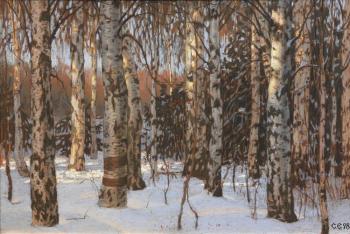 Birch. Sunlight. Efoshkin Sergey
