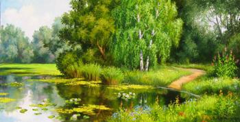 Overgrown pond. Samarskaya Helena