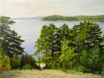Uvildy. Blue distance of the lake. Morozov Anatoliy