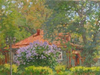 Lilac bush. Komarov Alexandr