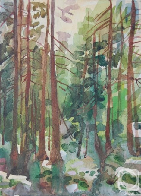 �������. ������������� �����. �������� ���� � ����