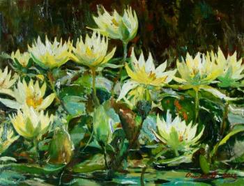 Lotuses. Ahmetvaliev Ildar