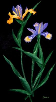 Wild irises (Applied Art). Sotnikova Diana