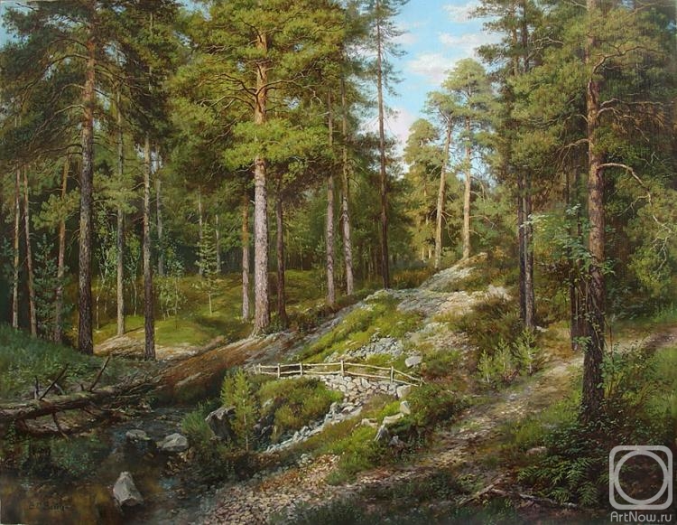 Zaytsev Vitaliy. A spring is in a pine-wood