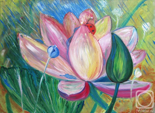 Manjulali Marina. Lotuses