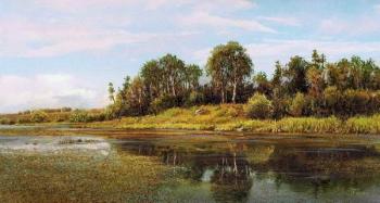 The Moscow landscape. Tsaritsyno. Panin Sergey