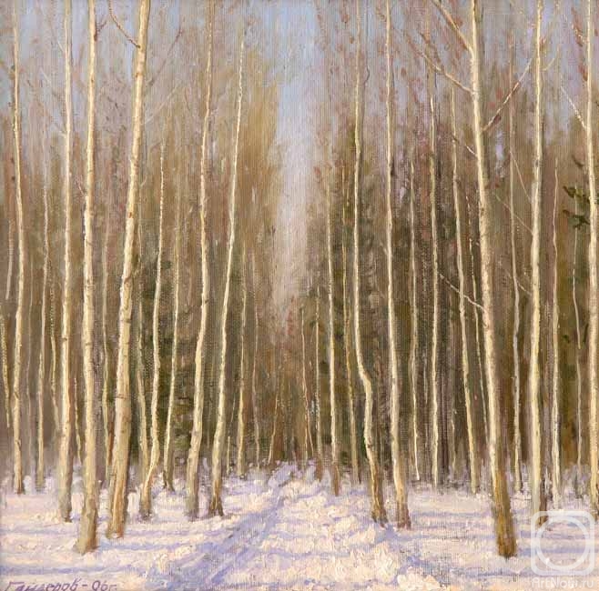 Gaiderov Michail. The road in the winter forest