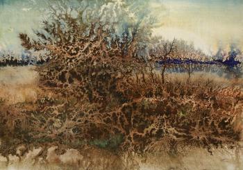 ������� ��������