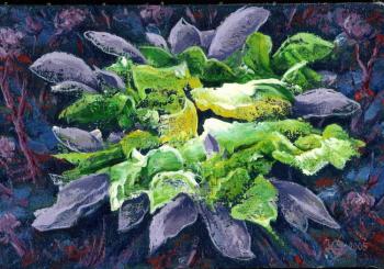 ������� �� ������ ���������