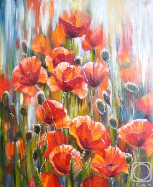 Grosa Ludmila. Poppies in the morning rays 2