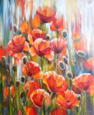 Poppies in the morning rays 2. Grosa Ludmila