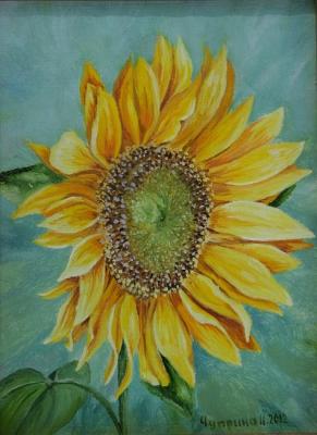 ������� ������������