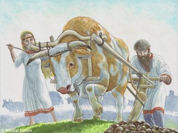 Oxen (Ploughing). Fomin Nikolay