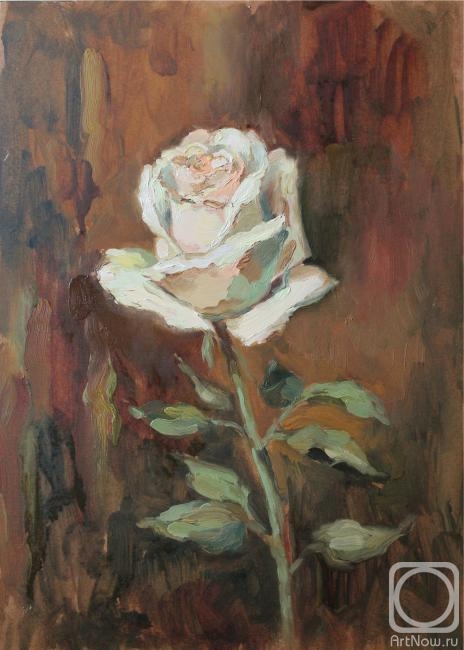 �������. ������� ���������. ����