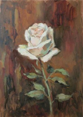 ������� ��������� ����������. ����