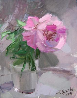 ������� �������� ���� (����)�