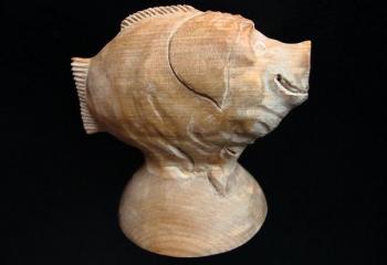 �������� ����������