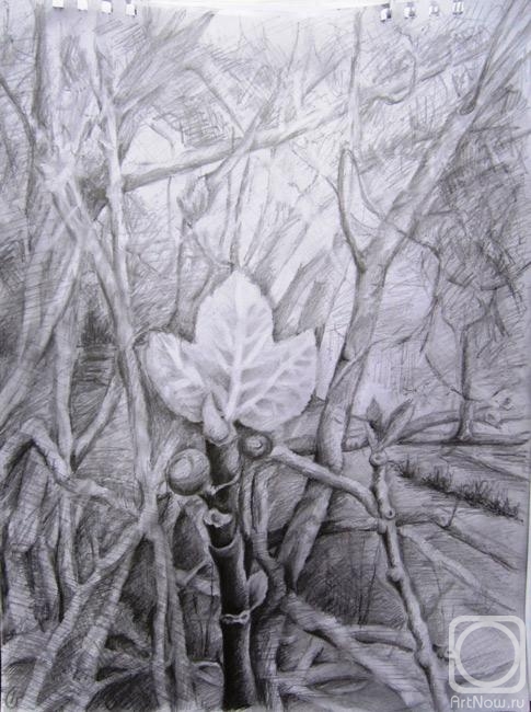 �������. ���������� �����. �����