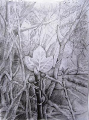 ������� ������