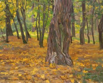 Autumn of an old tree. Kharchenko Victoria