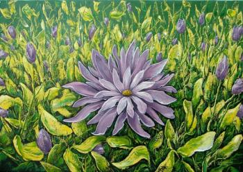 ������� ��� ��������� ����